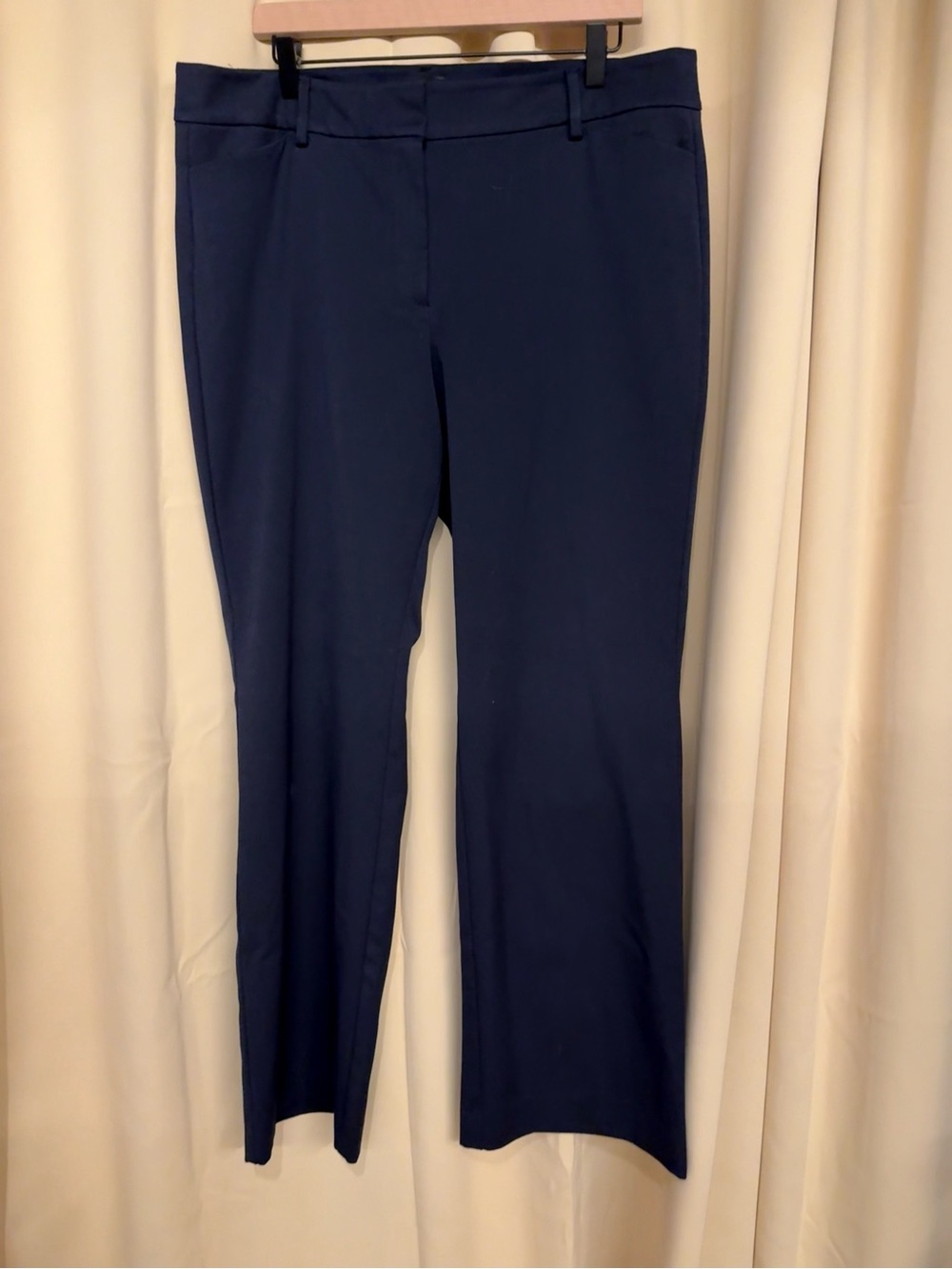 Ann Taylor Women's Navy Dress Pants